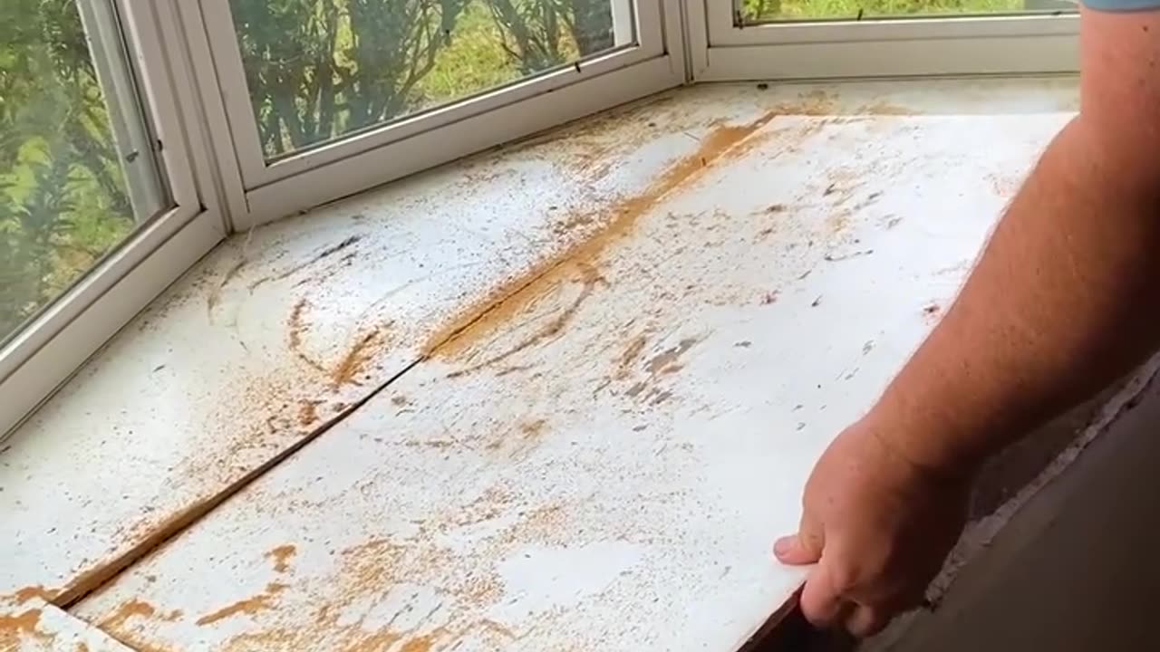 Finding animals in random places.