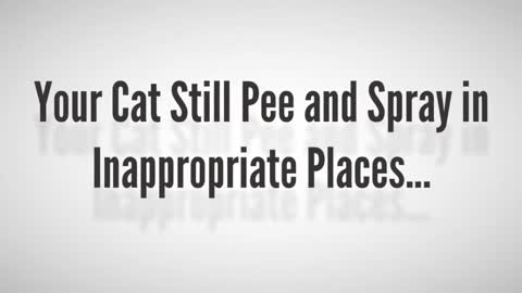 Stop! Your Cat From Spraying