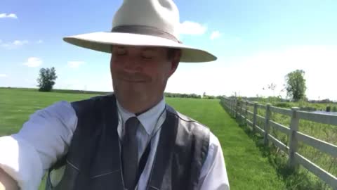 There is No Way to Save Public Education