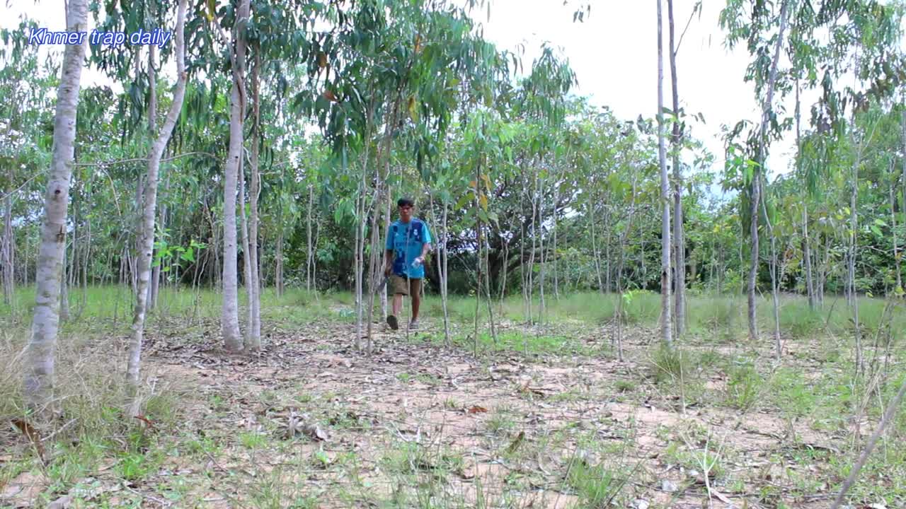 Catching a WILD CAT,Traditional wild cat trap