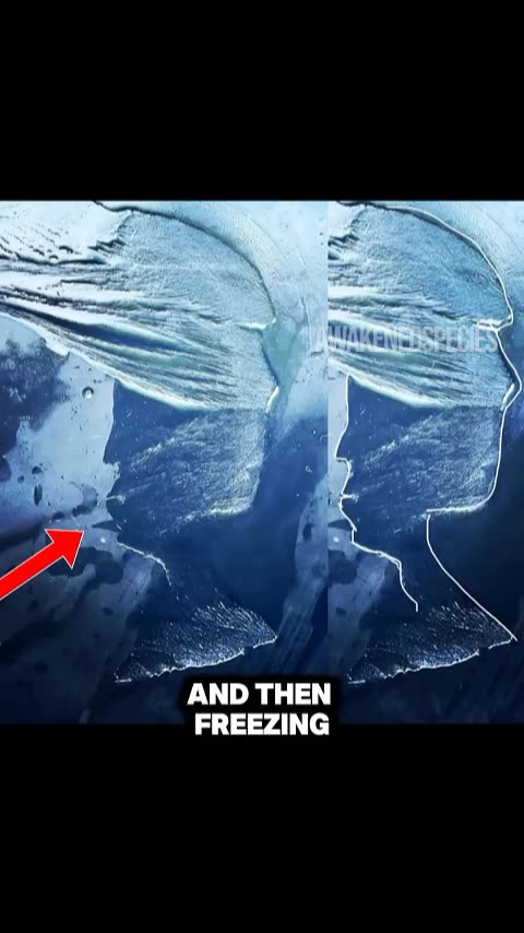 See How Water Holds Memory