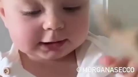 Bebê Alice Secco