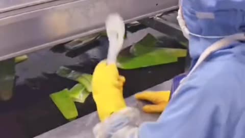 Aloevera gel processing