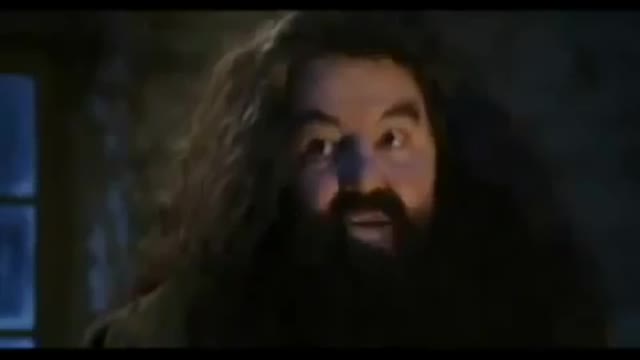 Harry Potter You're A Faggot