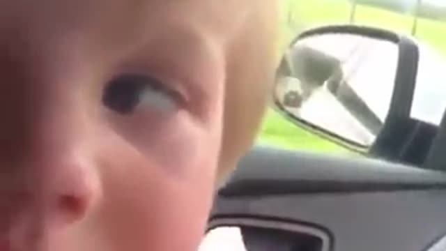 There's a Monkey on the Car!