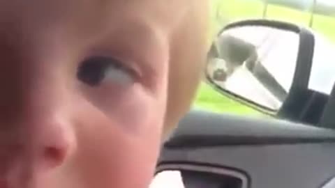 There's a Monkey on the Car!