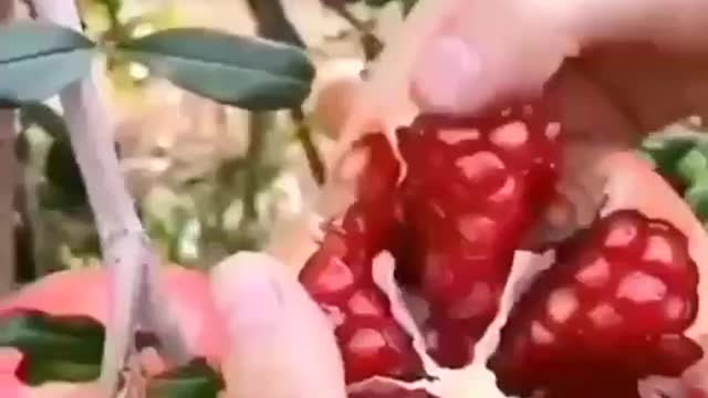 How to cut a pomegranate