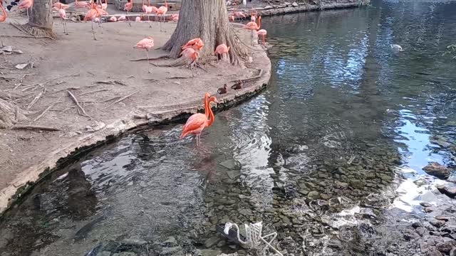 Iunderstandyourfrustration.mp4