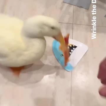 Someone call 911. We got a good description of the perp