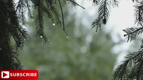 Rain Meditation Music