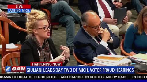 That Woman From Michigan