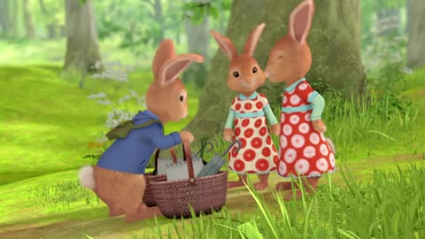 Little Rabbit Bedtime Stories