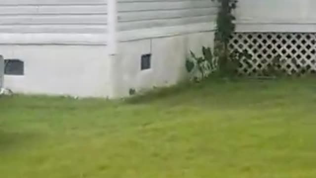 House Held Down by Cars to Prepare for Hurricane Florence