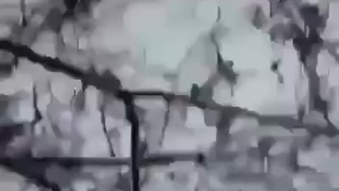 Tank destroys a crowd of Ukrainian infantry men at a check point at a very close range.