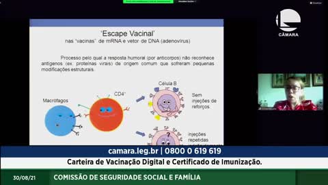 Audiencia na Câmara deputados, Especialistas Alertam Sobre Risco do passaporte V@acinação v5