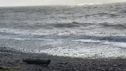 Dungeness Waves, in the Fog (video 2 of 2), July 9, 2021