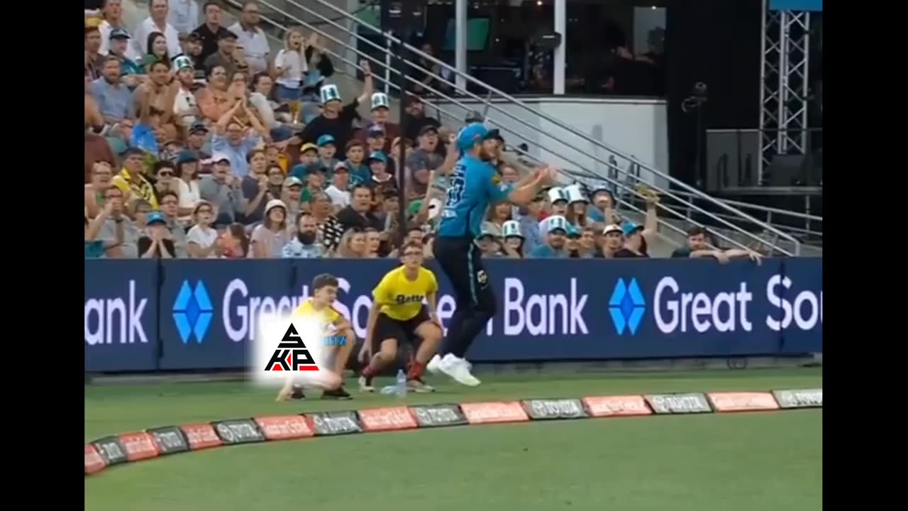 cricket amazing catch best catches in cricket