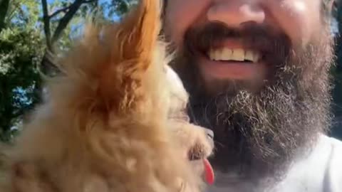 Worker Adopts Abandoned Senior Chihuahua