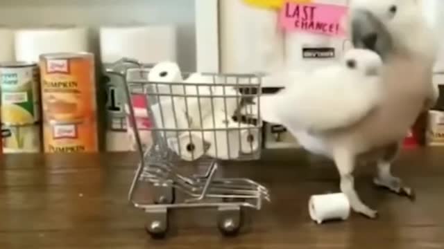 https://youtu.be/PfFaT3soNT0