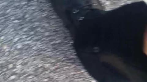 Interaction With A Creepy Old Man