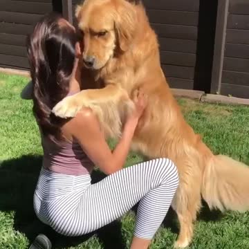 Cute baby animals Videos Compilation cutest moment of the animals - 🐶 Cutest Puppies #9