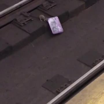 Rat dragging purple paper subway tracks