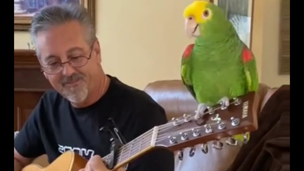 he let out his voice and left 😜😅🦜