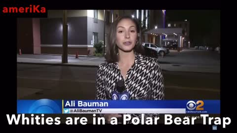 Migrants are here to sue Republicans x POLAR BEAR TRAP