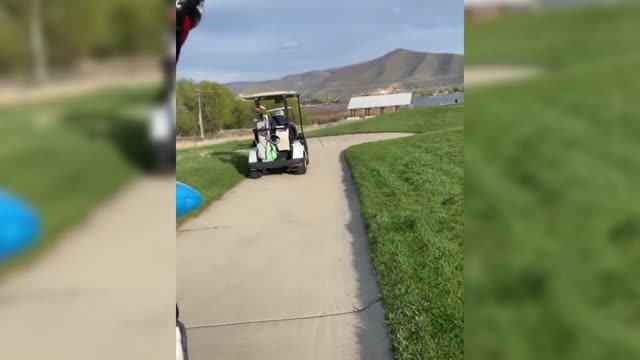 A buffet of funny golf fails