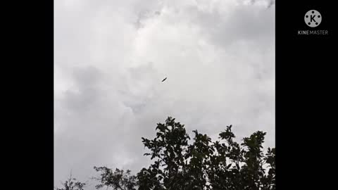 The beauty in nature
