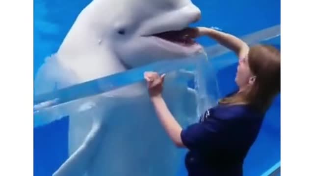 The dolphin just want some fun 😀🤣