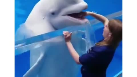 The dolphin just want some fun 😀🤣