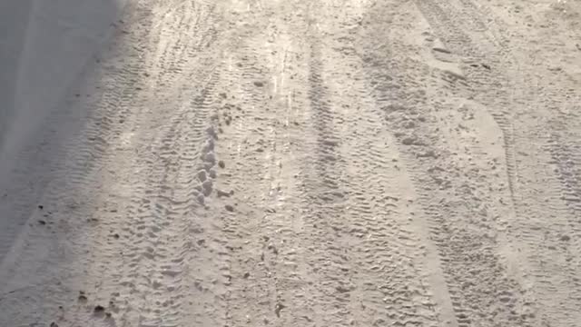 Puppy running in snow with boots