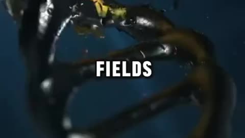 THEY TEACH U ABOUT THE MAGNETIC FIELD BUT DON’T TEACH U HAVE THE SAME FIELD