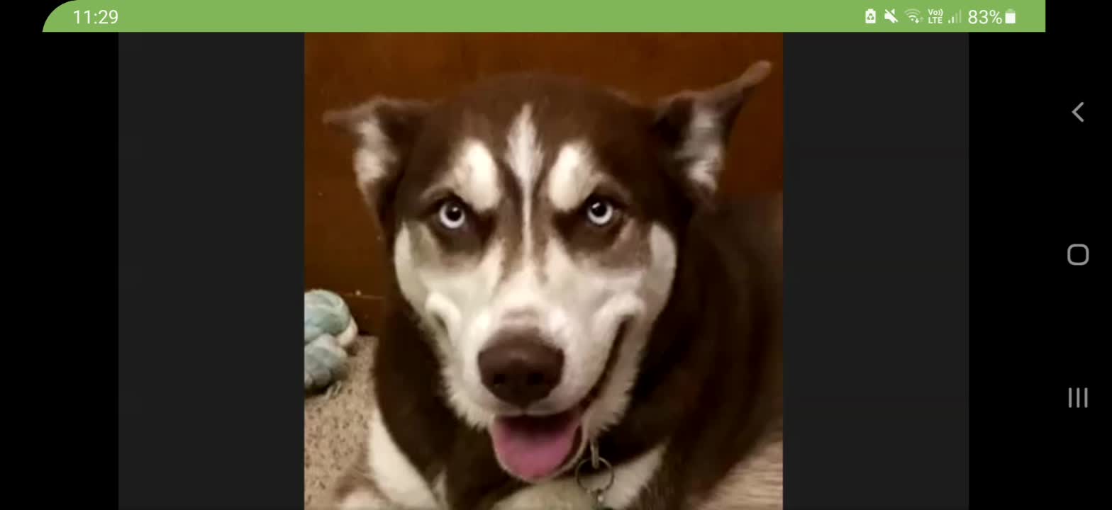 PATRIOT UNDERGROUND GENE DECODE PART1