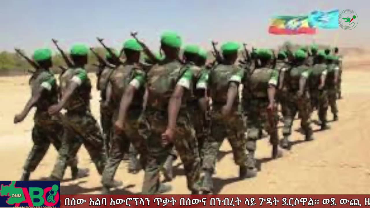 ህዳር 10፣ 2024 ONM-ABO እለታዊ የኦሮሞ ነፃነት ሰራዊትና የኦሮሚያ ውሎ!