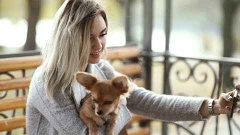 young beautiful Woman in the park with her funny long-haired chihuahua dog. Autumn background