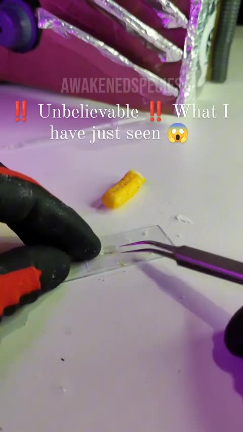 Suddenly, your snack addiction has just cleared up