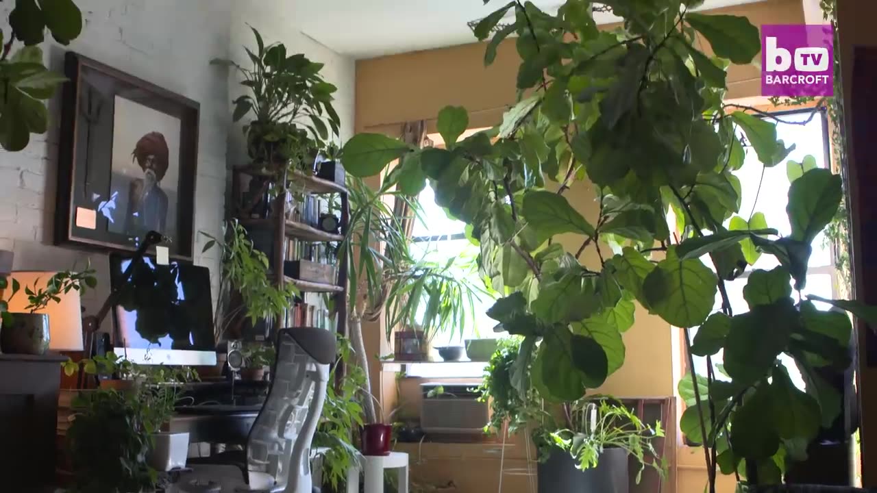 Growing A Jungle In My New York Apartment