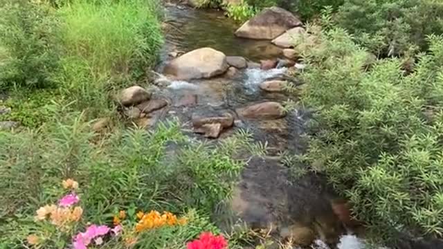 Beautiful nature and water fall seen interesting moment