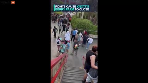 Wild Teen Fights Break Out At California Amusement Park, Causing It To Shutdown