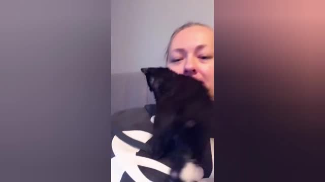Funniest Animals 🐱- Best FUNNY CAT Videos EVER 2021