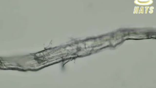 GRAPHENE OXIDE IN HAND SANITIZER? no surprise