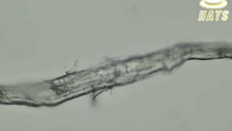 GRAPHENE OXIDE IN HAND SANITIZER? no surprise