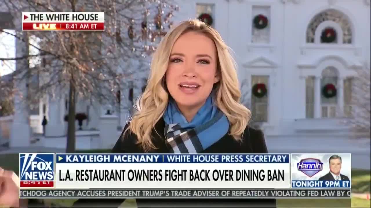 Kayleigh McEnany 12/9/20 on Fox News