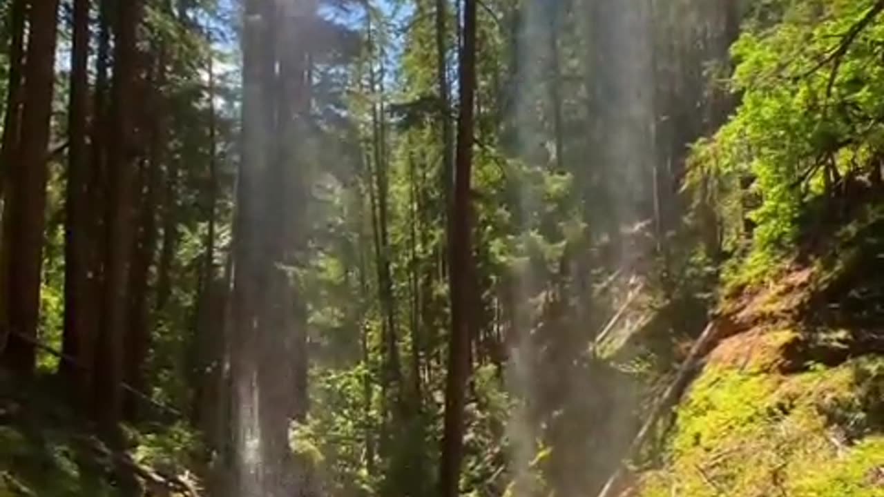 The awe-inspiring Silver Falls State Park.