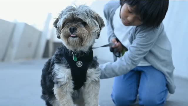The most cute and funny puppy