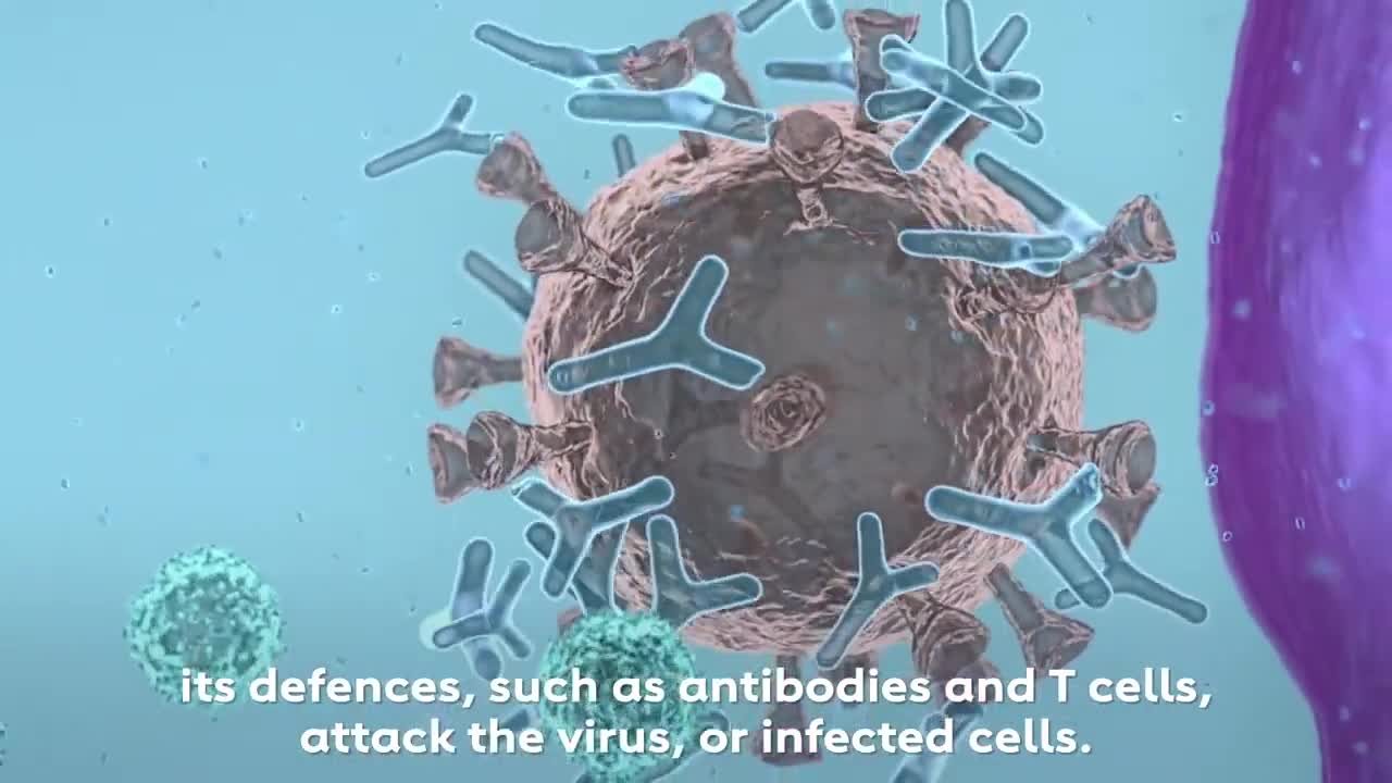 COVID-19 Vaccines in 3D Animation