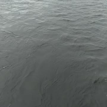 Saint Petersburg, ponorama