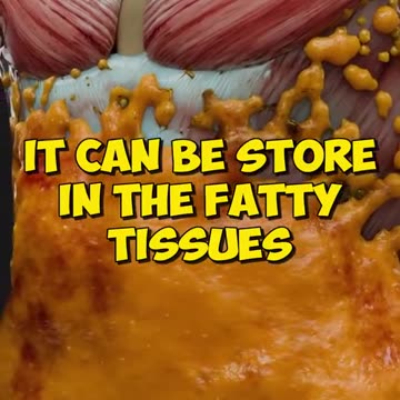 Is Your Watermelon real